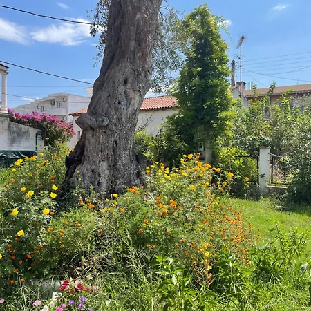 Apartamento Aurelia Seaside Kávos