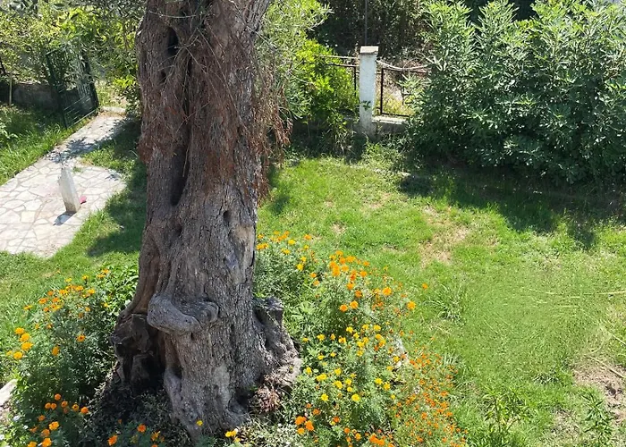 Aurelia Seaside * Kávos