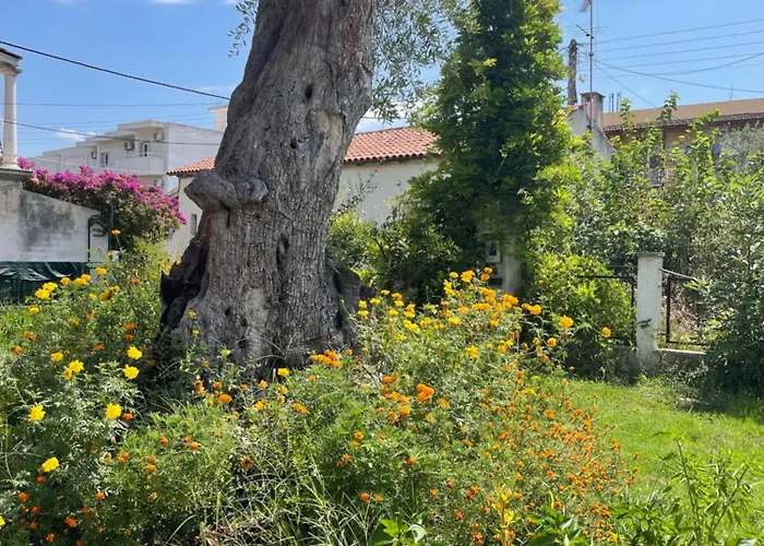 Apartament Aurelia Seaside Kávos